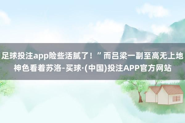 足球投注app险些活腻了！”而吕梁一副至高无上地神色看着苏洛-买球·(中国)投注APP官方网站