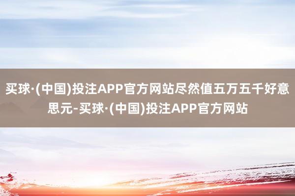 买球·(中国)投注APP官方网站尽然值五万五千好意思元-买球·(中国)投注APP官方网站