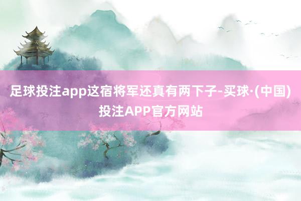 足球投注app这宿将军还真有两下子-买球·(中国)投注APP官方网站