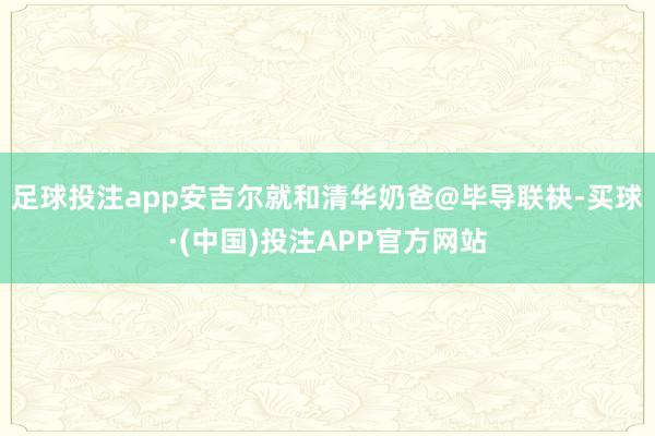 足球投注app安吉尔就和清华奶爸@毕导联袂-买球·(中国)投注APP官方网站