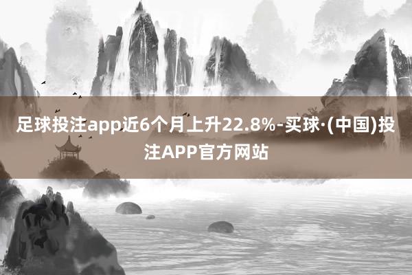 足球投注app近6个月上升22.8%-买球·(中国)投注APP官方网站