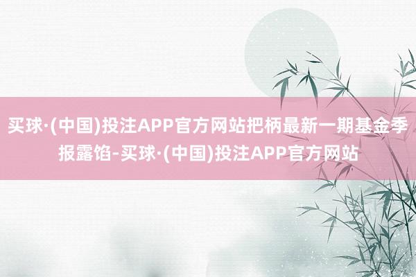 买球·(中国)投注APP官方网站把柄最新一期基金季报露馅-买球·(中国)投注APP官方网站