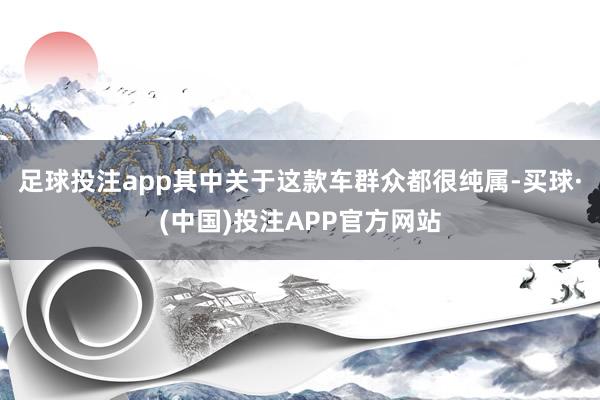 足球投注app其中关于这款车群众都很纯属-买球·(中国)投注APP官方网站