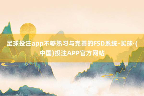 足球投注app不够熟习与完善的FSD系统-买球·(中国)投注APP官方网站