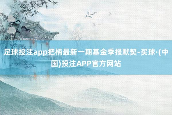 足球投注app把柄最新一期基金季报默契-买球·(中国)投注APP官方网站