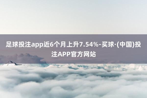 足球投注app近6个月上升7.54%-买球·(中国)投注APP官方网站