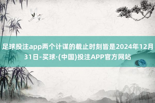 足球投注app两个计谋的截止时刻皆是2024年12月31日-买球·(中国)投注APP官方网站