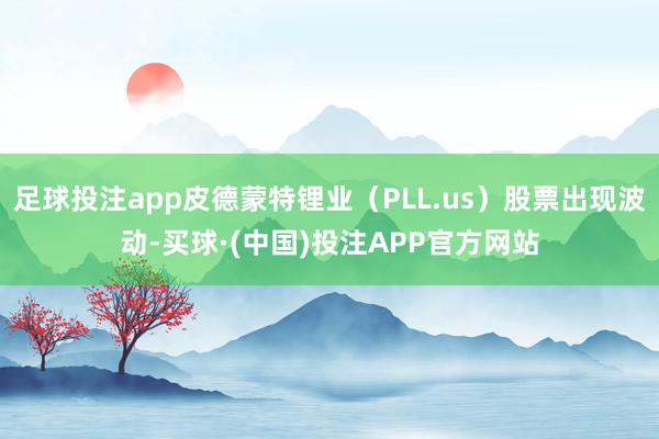 足球投注app皮德蒙特锂业（PLL.us）股票出现波动-买球·(中国)投注APP官方网站