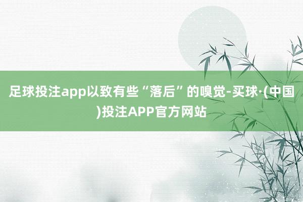 足球投注app以致有些“落后”的嗅觉-买球·(中国)投注APP官方网站