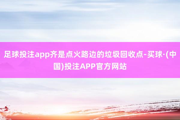 足球投注app齐是点火路边的垃圾回收点-买球·(中国)投注APP官方网站