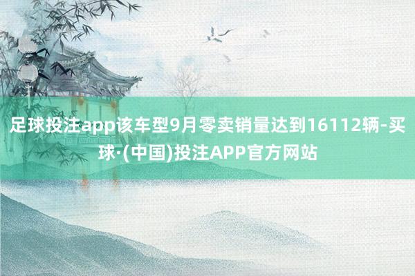 足球投注app该车型9月零卖销量达到16112辆-买球·(中国)投注APP官方网站