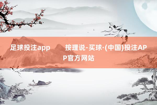 足球投注app        按理说-买球·(中国)投注APP官方网站