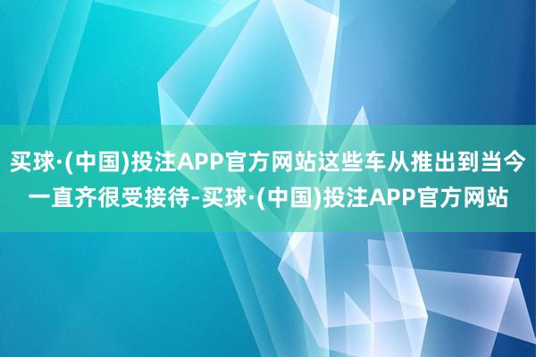 买球·(中国)投注APP官方网站这些车从推出到当今一直齐很受接待-买球·(中国)投注APP官方网站