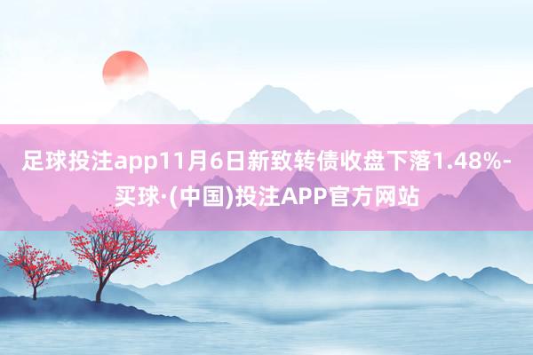 足球投注app11月6日新致转债收盘下落1.48%-买球·(中国)投注APP官方网站