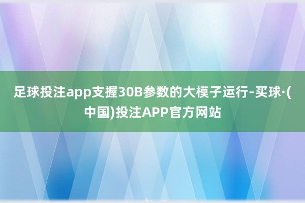 足球投注app支握30B参数的大模子运行-买球·(中国)投注APP官方网站