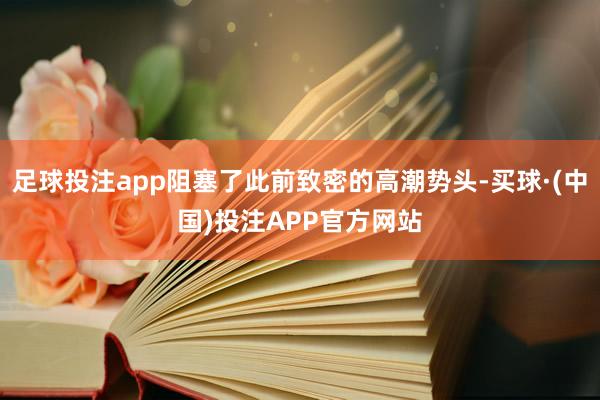 足球投注app阻塞了此前致密的高潮势头-买球·(中国)投注APP官方网站