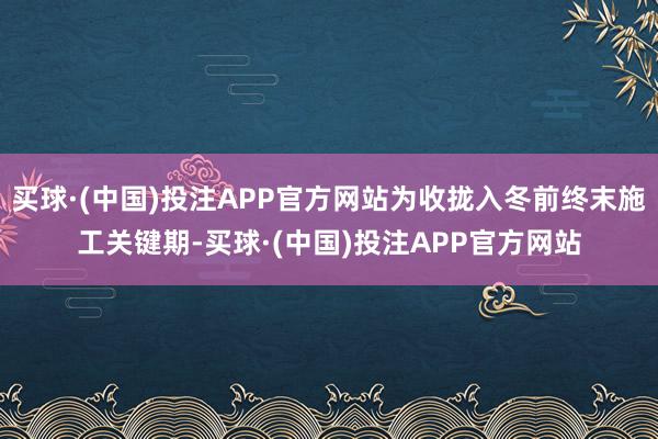 买球·(中国)投注APP官方网站为收拢入冬前终末施工关键期-买球·(中国)投注APP官方网站