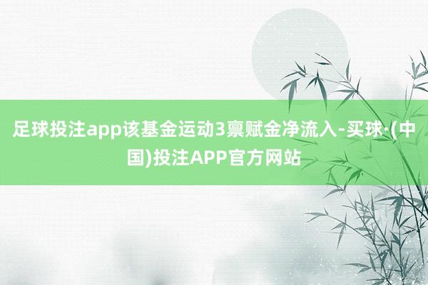 足球投注app该基金运动3禀赋金净流入-买球·(中国)投注APP官方网站