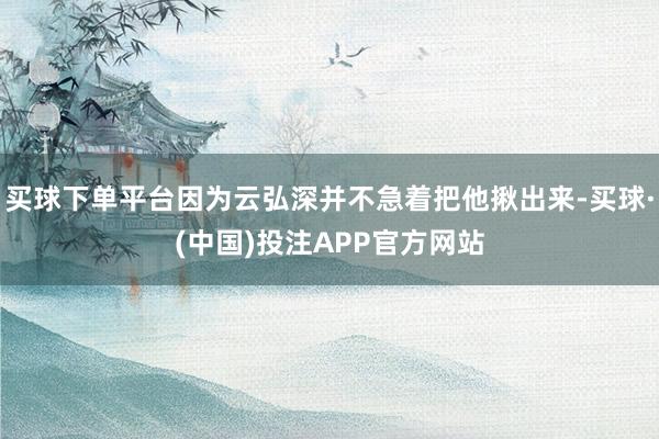 买球下单平台因为云弘深并不急着把他揪出来-买球·(中国)投注APP官方网站