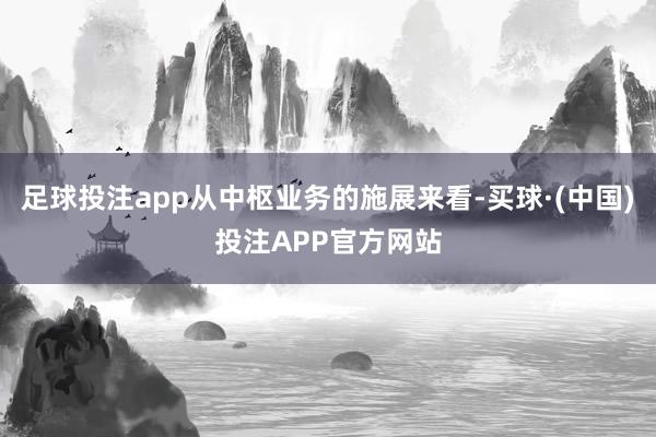 足球投注app从中枢业务的施展来看-买球·(中国)投注APP官方网站