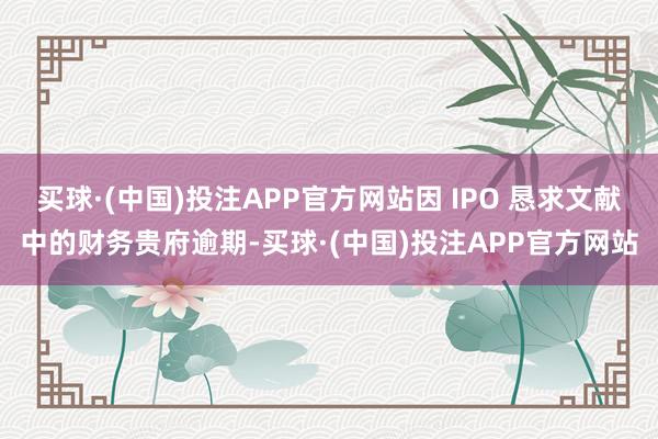 买球·(中国)投注APP官方网站因 IPO 恳求文献中的财务贵府逾期-买球·(中国)投注APP官方网站