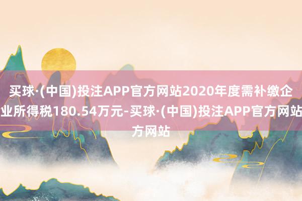 买球·(中国)投注APP官方网站2020年度需补缴企业所得税180.54万元-买球·(中国)投注APP官方网站