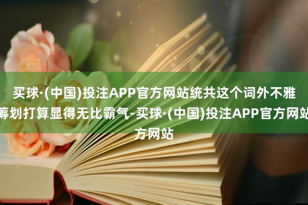 买球·(中国)投注APP官方网站统共这个词外不雅筹划打算显得无比霸气-买球·(中国)投注APP官方网站