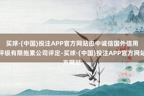 买球·(中国)投注APP官方网站由中诚信国外信用评级有限拖累公司评定-买球·(中国)投注APP官方网站