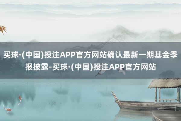 买球·(中国)投注APP官方网站确认最新一期基金季报披露-买球·(中国)投注APP官方网站