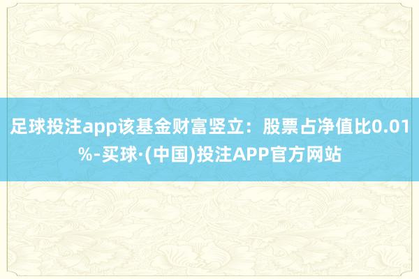 足球投注app该基金财富竖立：股票占净值比0.01%-买球·(中国)投注APP官方网站