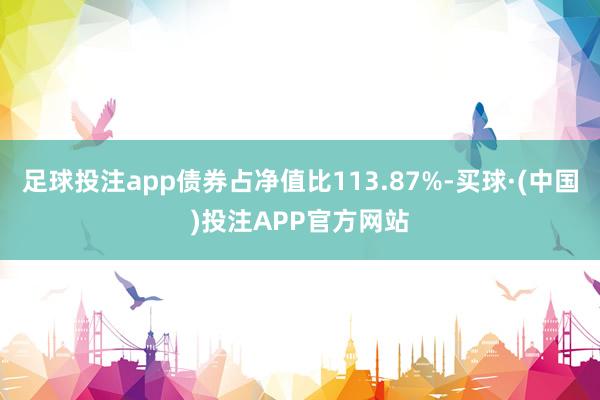 足球投注app债券占净值比113.87%-买球·(中国)投注APP官方网站