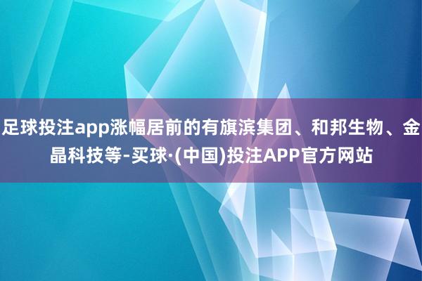 足球投注app涨幅居前的有旗滨集团、和邦生物、金晶科技等-买球·(中国)投注APP官方网站