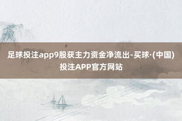 足球投注app9股获主力资金净流出-买球·(中国)投注APP官方网站