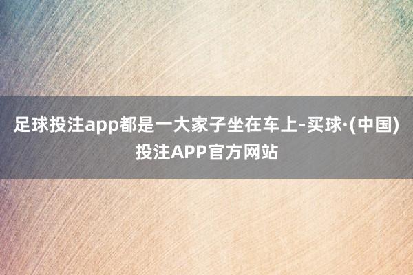 足球投注app都是一大家子坐在车上-买球·(中国)投注APP官方网站