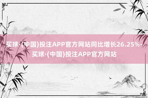 买球·(中国)投注APP官方网站同比增长26.25%-买球·(中国)投注APP官方网站