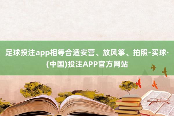 足球投注app相等合适安营、放风筝、拍照-买球·(中国)投注APP官方网站