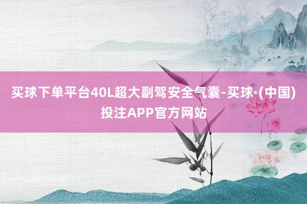 买球下单平台40L超大副驾安全气囊-买球·(中国)投注APP官方网站