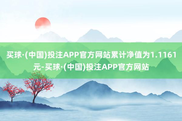 买球·(中国)投注APP官方网站累计净值为1.1161元-买球·(中国)投注APP官方网站