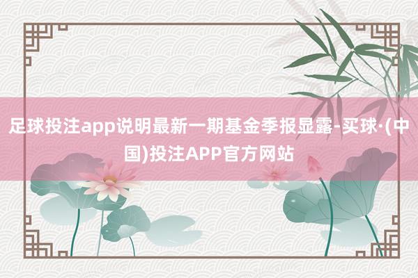 足球投注app说明最新一期基金季报显露-买球·(中国)投注APP官方网站