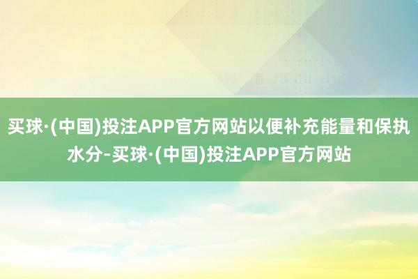 买球·(中国)投注APP官方网站以便补充能量和保执水分-买球·(中国)投注APP官方网站