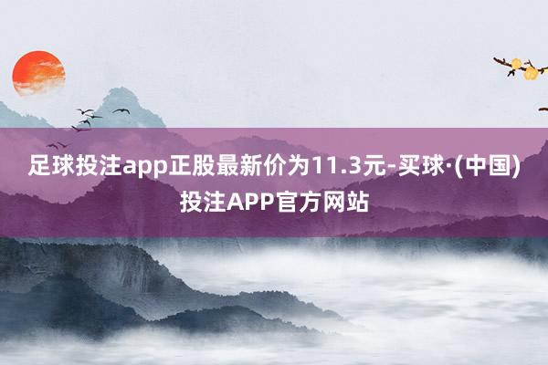 足球投注app正股最新价为11.3元-买球·(中国)投注APP官方网站