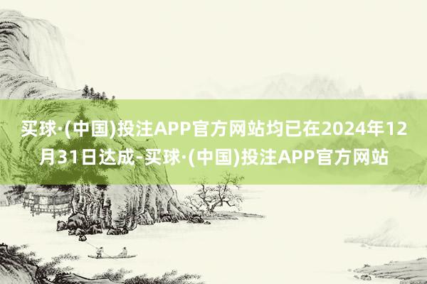 买球·(中国)投注APP官方网站均已在2024年12月31日达成-买球·(中国)投注APP官方网站