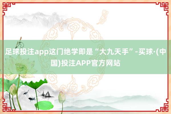 足球投注app这门绝学即是“大九天手”-买球·(中国)投注APP官方网站