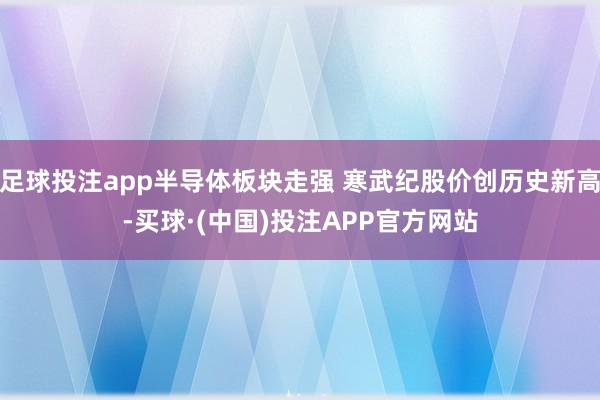 足球投注app半导体板块走强 寒武纪股价创历史新高-买球·(中国)投注APP官方网站