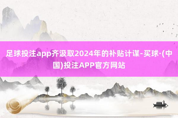 足球投注app齐汲取2024年的补贴计谋-买球·(中国)投注APP官方网站