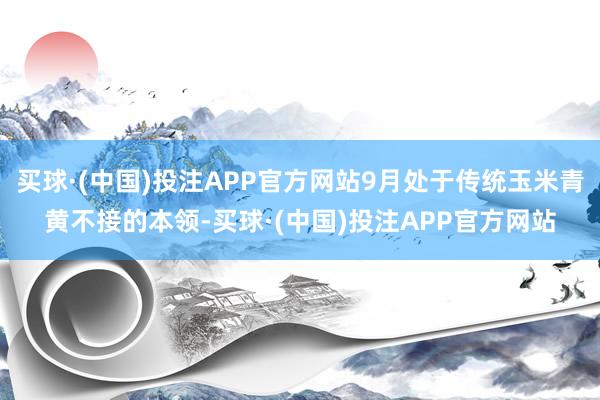 买球·(中国)投注APP官方网站9月处于传统玉米青黄不接的本领-买球·(中国)投注APP官方网站