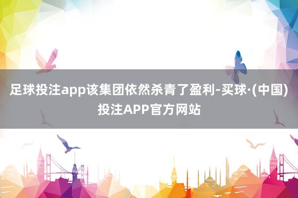 足球投注app该集团依然杀青了盈利-买球·(中国)投注APP官方网站