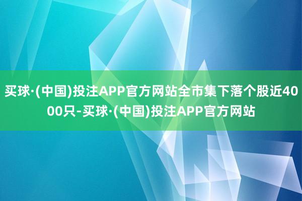 买球·(中国)投注APP官方网站全市集下落个股近4000只-买球·(中国)投注APP官方网站