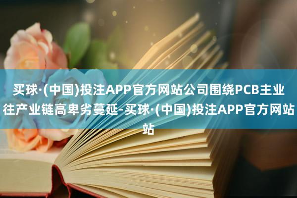 买球·(中国)投注APP官方网站公司围绕PCB主业往产业链高卑劣蔓延-买球·(中国)投注APP官方网站