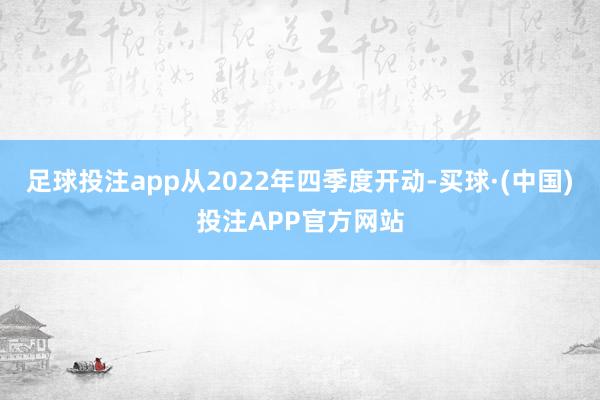 足球投注app从2022年四季度开动-买球·(中国)投注APP官方网站